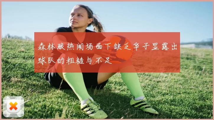 森林狼热闹场面下缺乏华子显露出球队的粗糙与不足