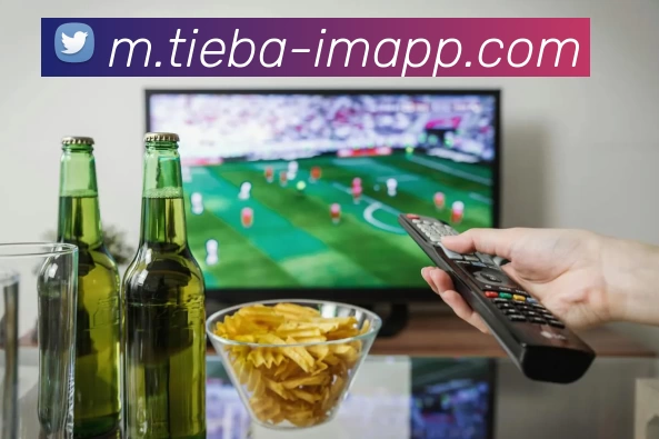 IM电竞APP 封面图